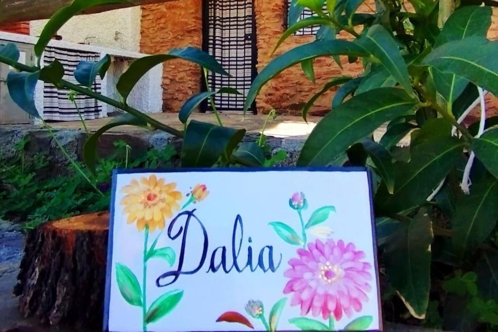 Paraje La Suerte Apartamento Dalia Adra Exteriör bild